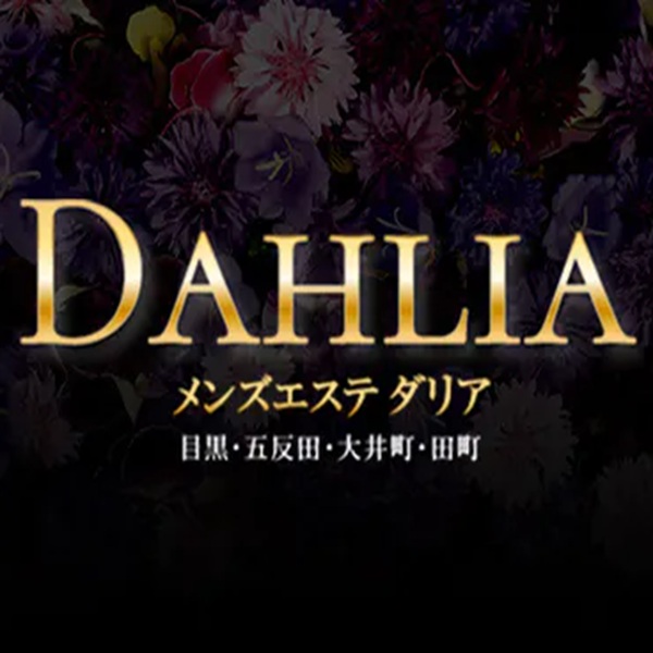 DAHLIA（ダリア）田町ルームの店舗画像