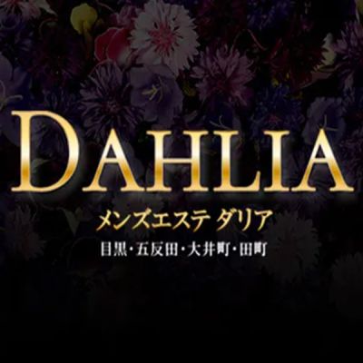 DAHLIA（ダリア）大井町ルームの店舗画像