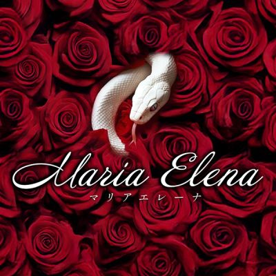 Maria Elena（マリアエレーナ）の店舗画像