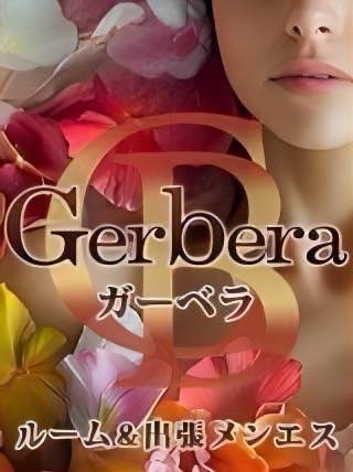 Gerbera（ガーベラ)の店舗画像