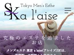 東京 a laise（アレイズ）SK 中野ルームの店舗画像