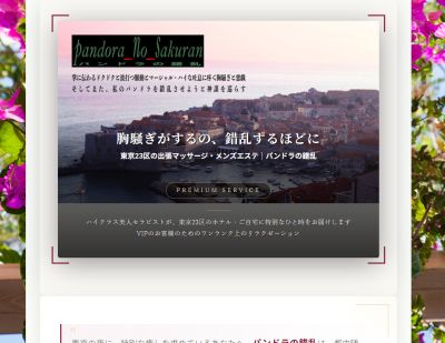パンドラの錯乱の店舗画像