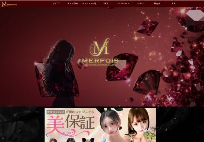MERFOIS（メルフォア）高田馬場ルームの店舗画像