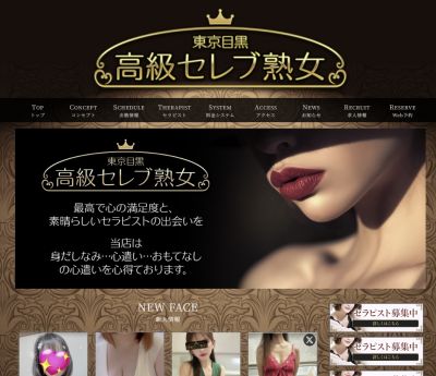 東京目黒 高級セレブ熟女 川崎ルームの店舗画像