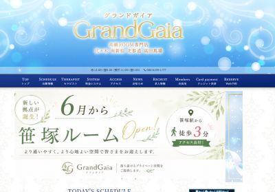 グランドガイア Grand Gaia 新宿エリアの店舗画像