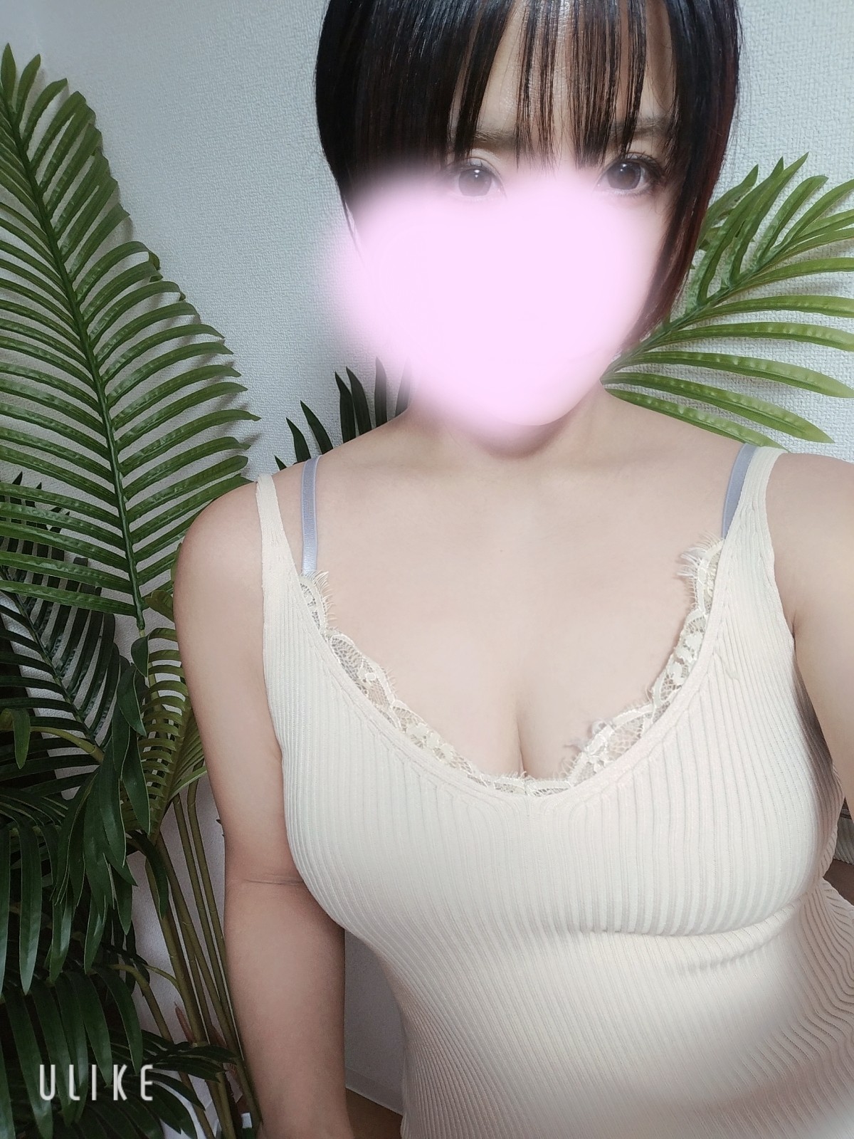 投稿写真