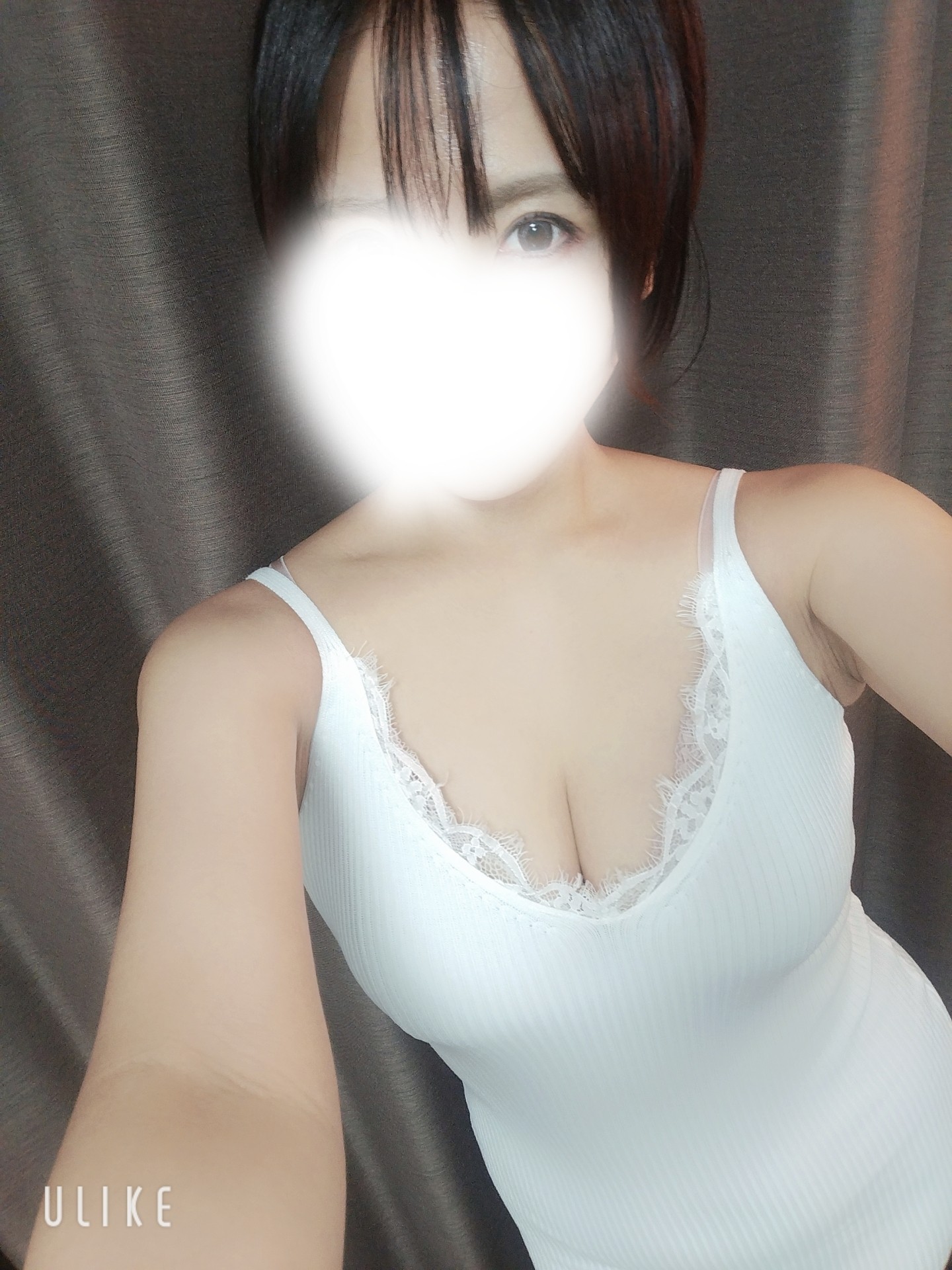 投稿写真
