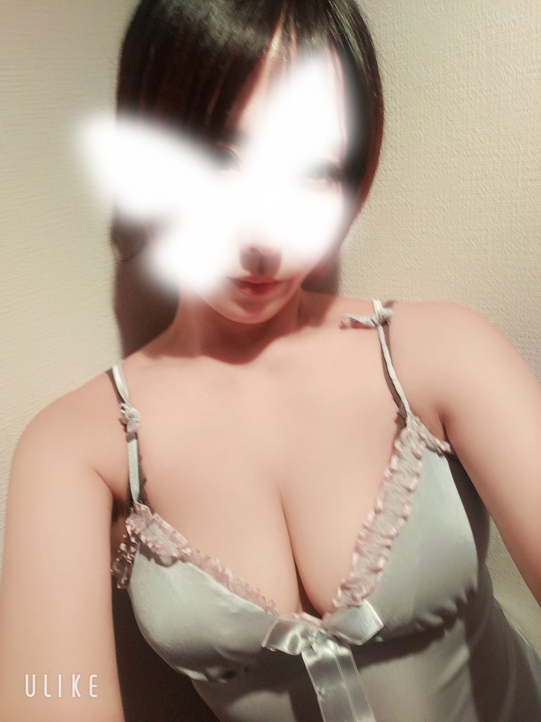 投稿写真