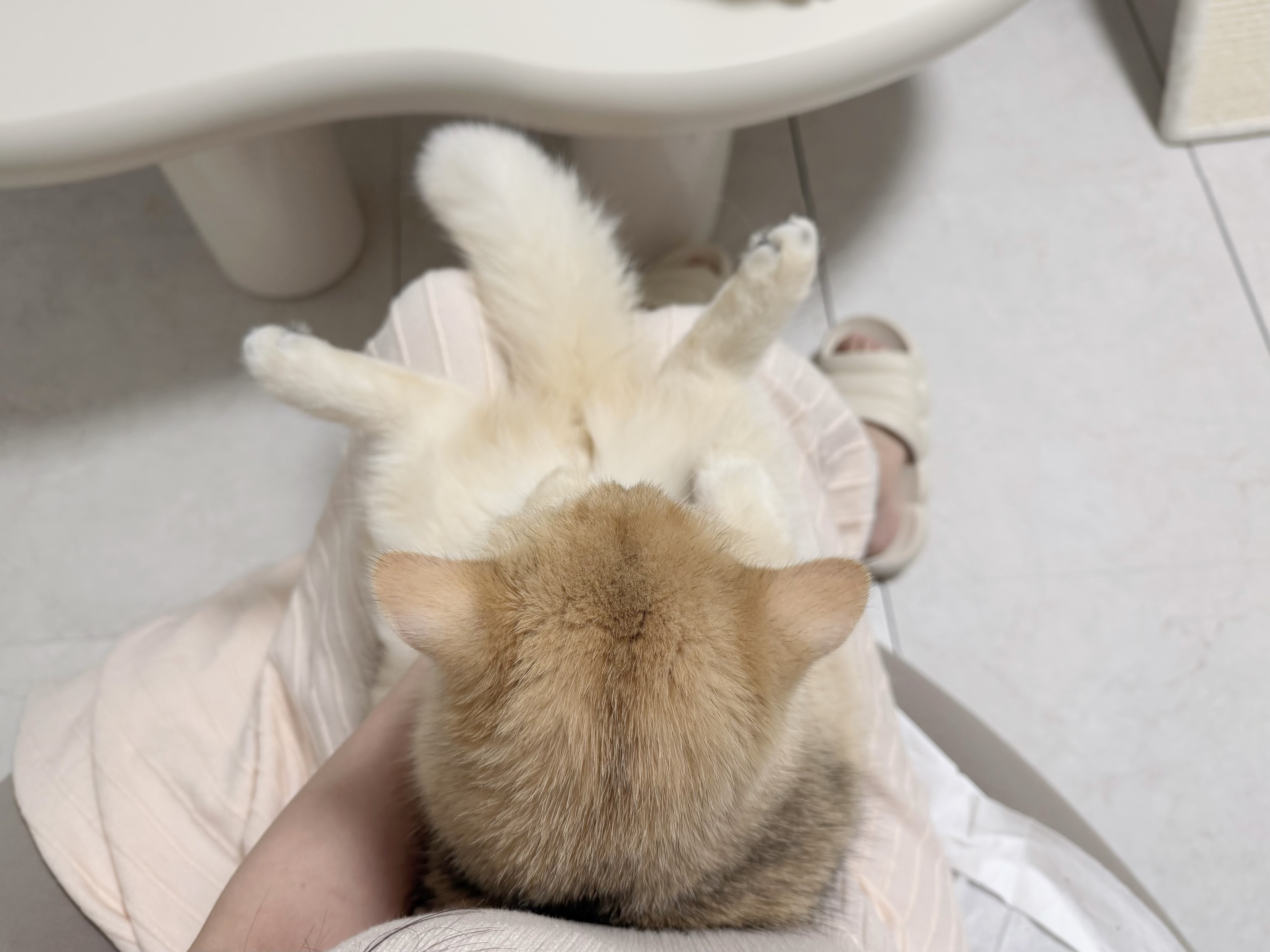 投稿写真