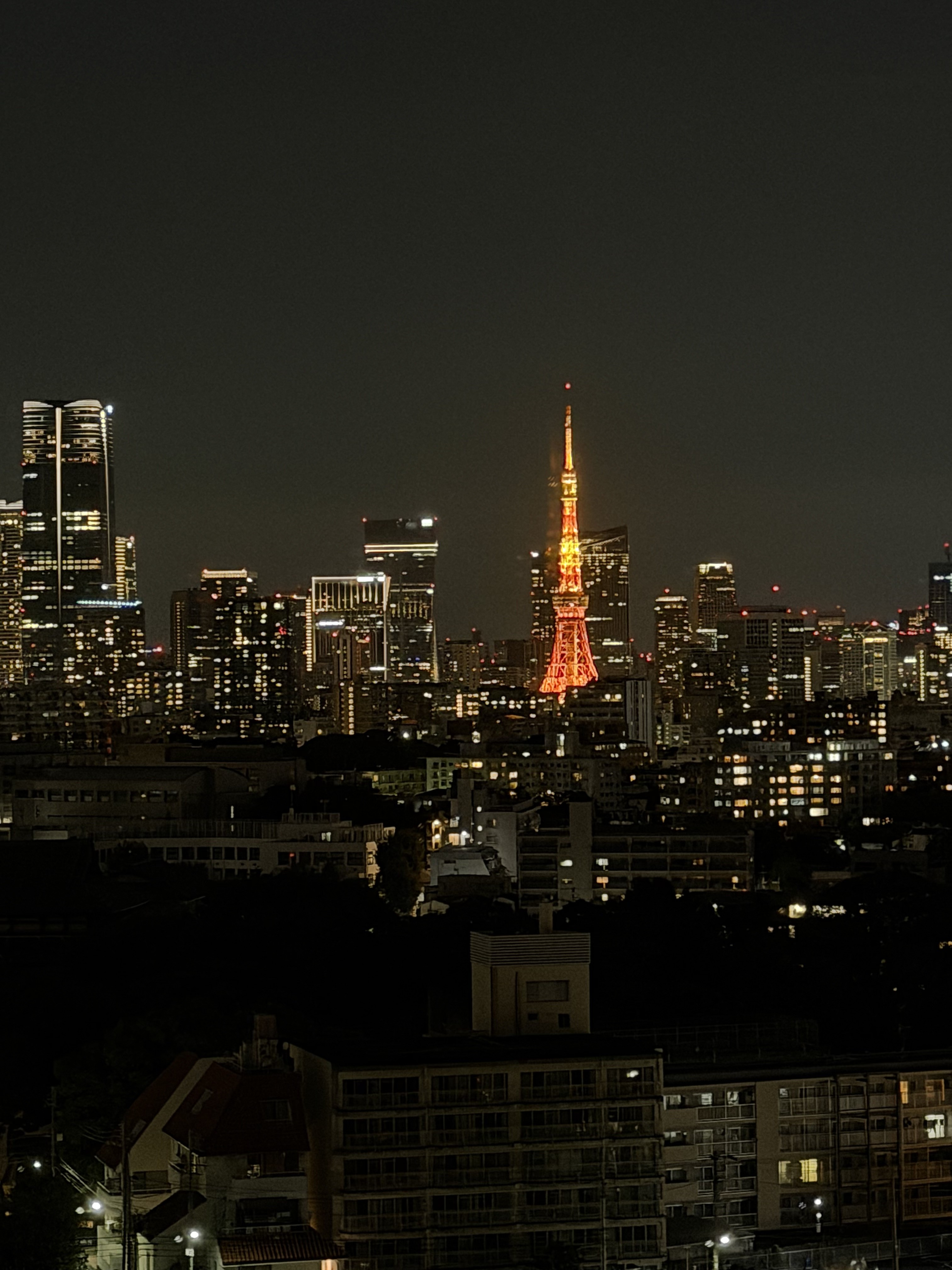 投稿写真