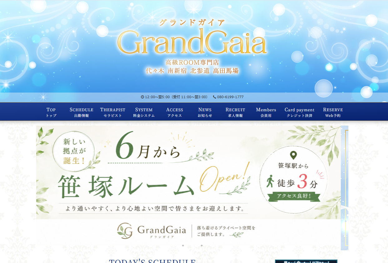グランドガイア Grand Gaia 代々木・北参道エリア